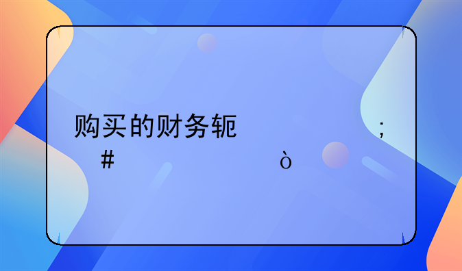 購買的財(cái)務(wù)軟件怎么入賬？