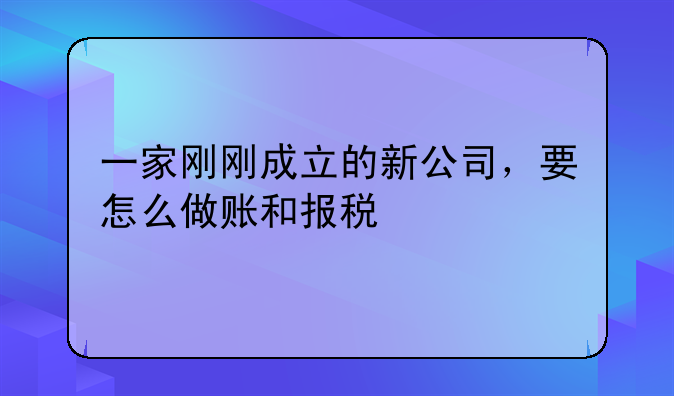 一家剛剛成立的新公司，要怎么做賬和報稅