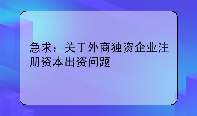 急求：關(guān)于外商獨資企業(yè)注冊資本出資問題