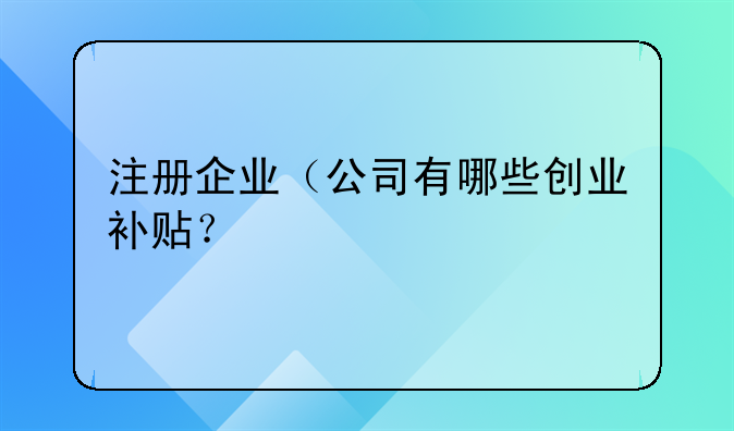注冊(cè)企業(yè)（公司有哪些創(chuàng)業(yè)補(bǔ)貼？