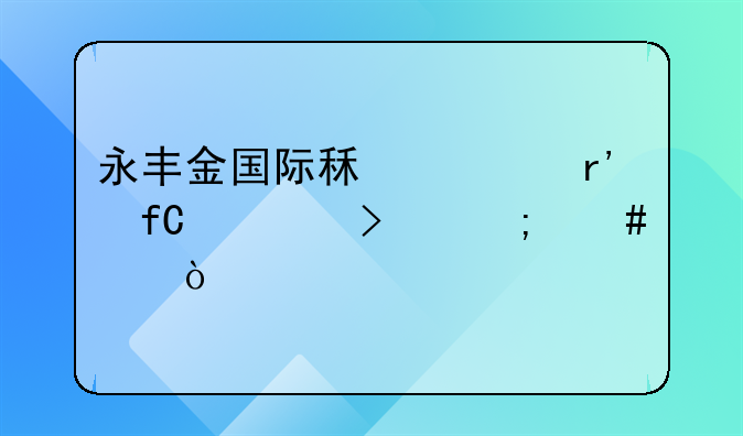 永豐金國(guó)際租賃有限公司怎么樣？