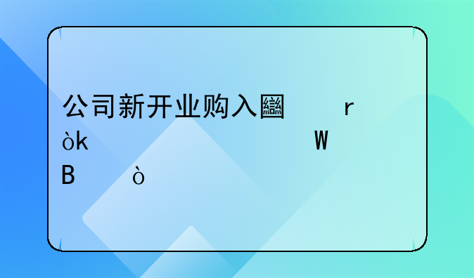 公司新開(kāi)業(yè)購(gòu)入土地會(huì)計(jì)如何處理？