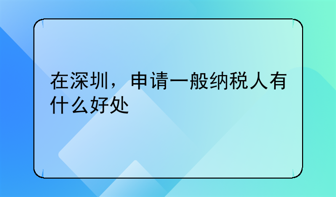 在深圳，申請一般納稅人有什么好處