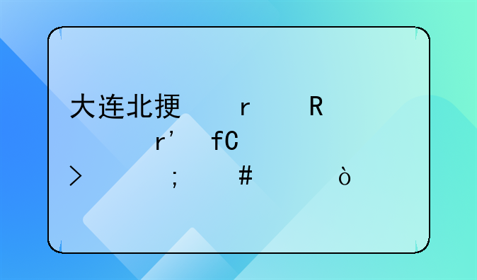 大連北振機(jī)電設(shè)備有限公司怎么樣？