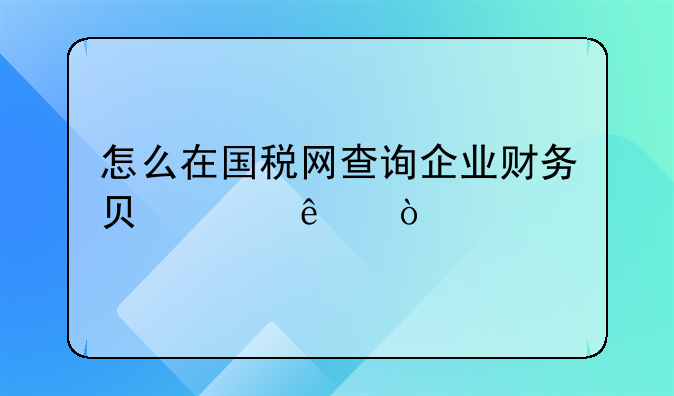 怎么在國(guó)稅網(wǎng)查詢(xún)企業(yè)財(cái)務(wù)負(fù)責(zé)人？
