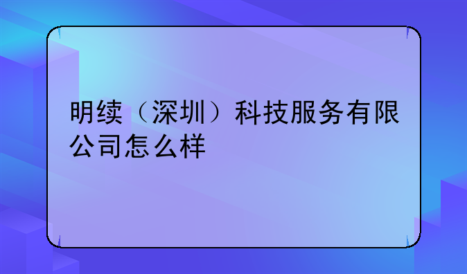 明續(xù)（深圳）科技服務(wù)有限公司怎么樣
