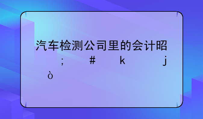 汽車(chē)檢測(cè)公司里的會(huì)計(jì)是怎么做賬的？