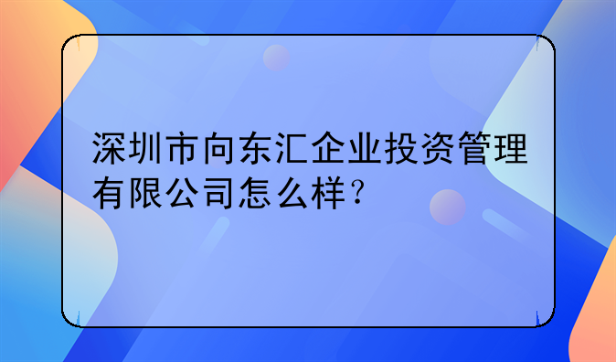 深圳市向東匯企業(yè)投資管理有限公司怎么樣？