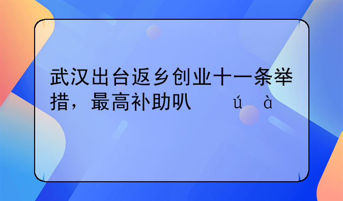 武漢出臺返鄉(xiāng)創(chuàng)業(yè)十一條舉措，最高補助可達800萬元