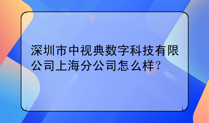 深圳市中視典數(shù)字科技有限公司上海分公司怎么樣？