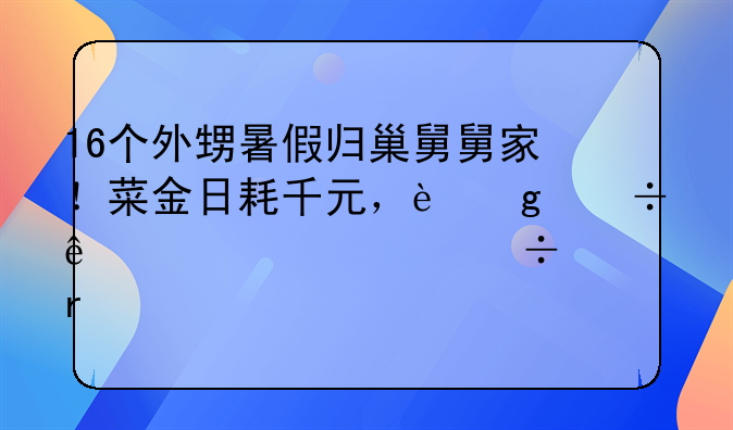 16個外甥暑假歸巢舅舅家！菜金日耗千元，這份親情幾家能有