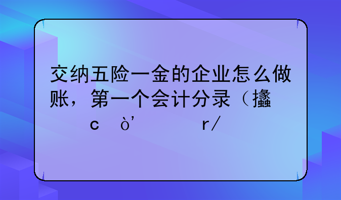 交納五險一金的企業(yè)怎么做賬，第一個會計分錄（支付）沒看懂